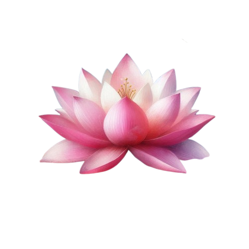 Abstract lotus illustration symbolizing clarity and growth